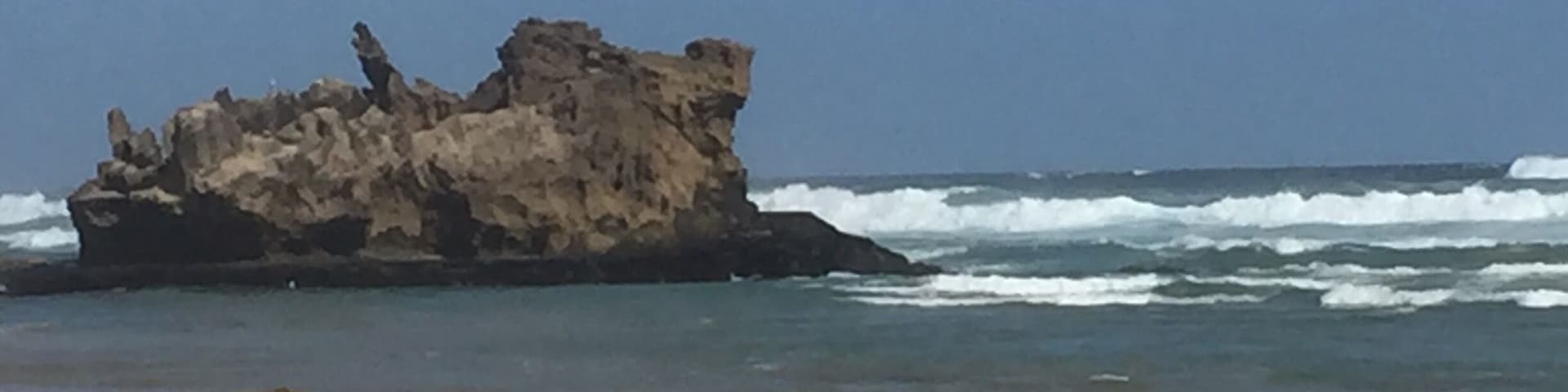 Great 9km beach walk to buffalo bay and back