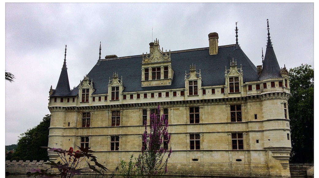 Superb castle of the countries of the loire. The period of the "renaissance".