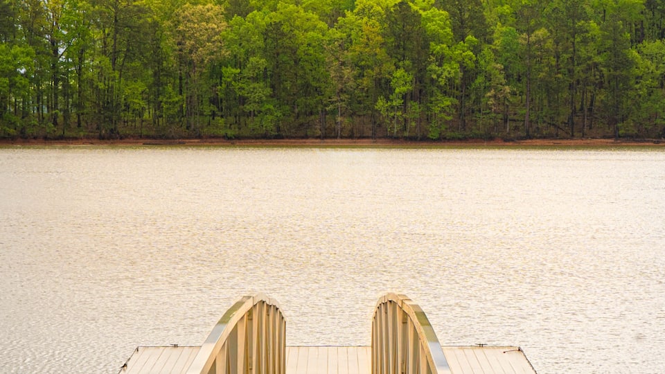 A wooden bridge over calm water with a forest in the background.