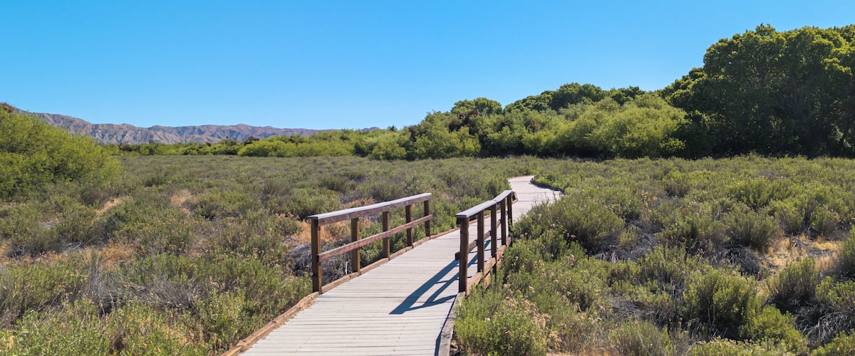 A wooden boardwalk through a dry grassland with mountains in the background.