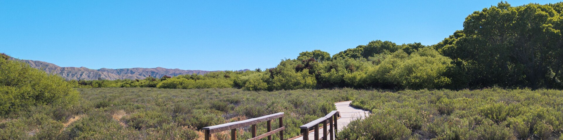 Boardwalk Marsh Trail path at Big Morongo Canyon Preserve in Morongo Valley, California