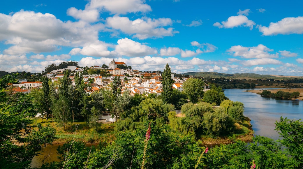 Landscape of Constancia. Santarem, Ribatejo, Portugal