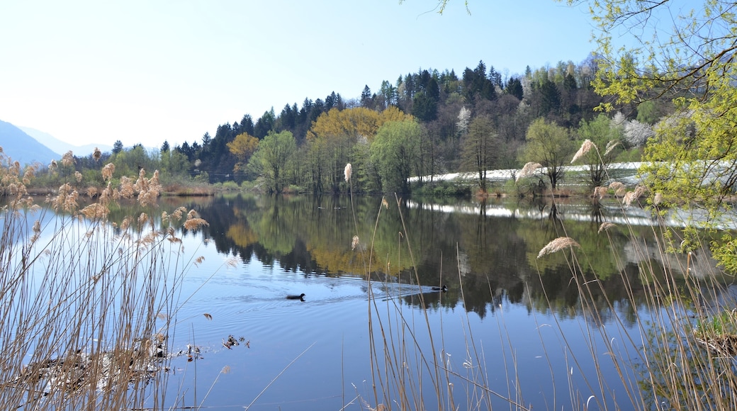 Biotopo Lago Pudro (Q3640218)