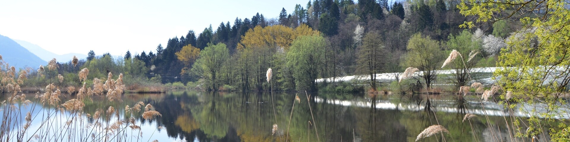 Biotopo Lago Pudro (Q3640218)