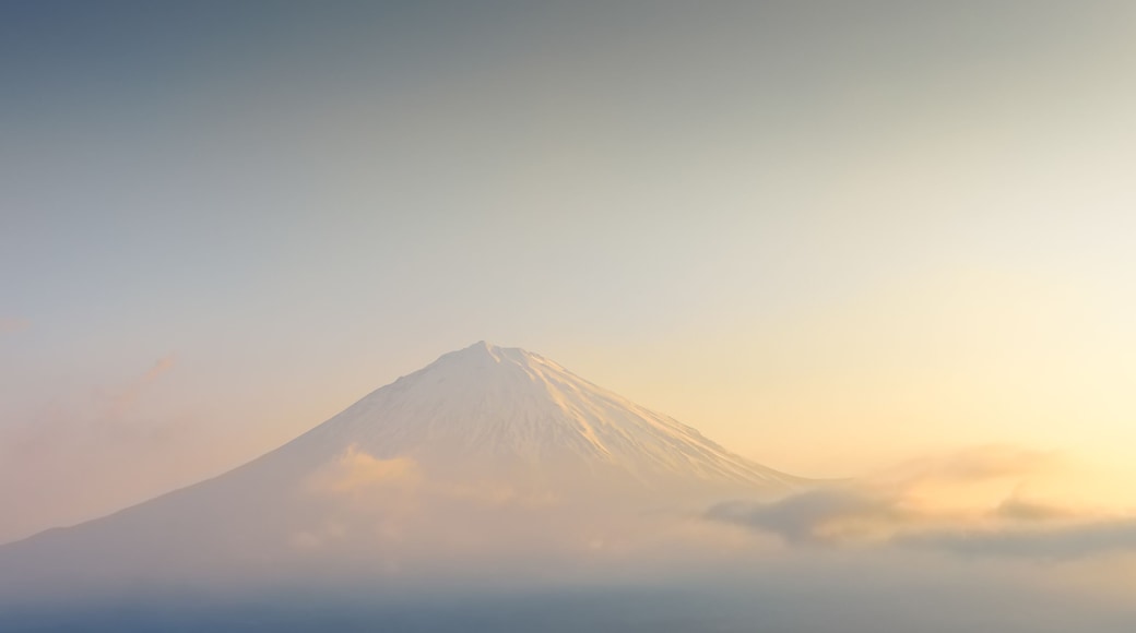 Shizuoka
