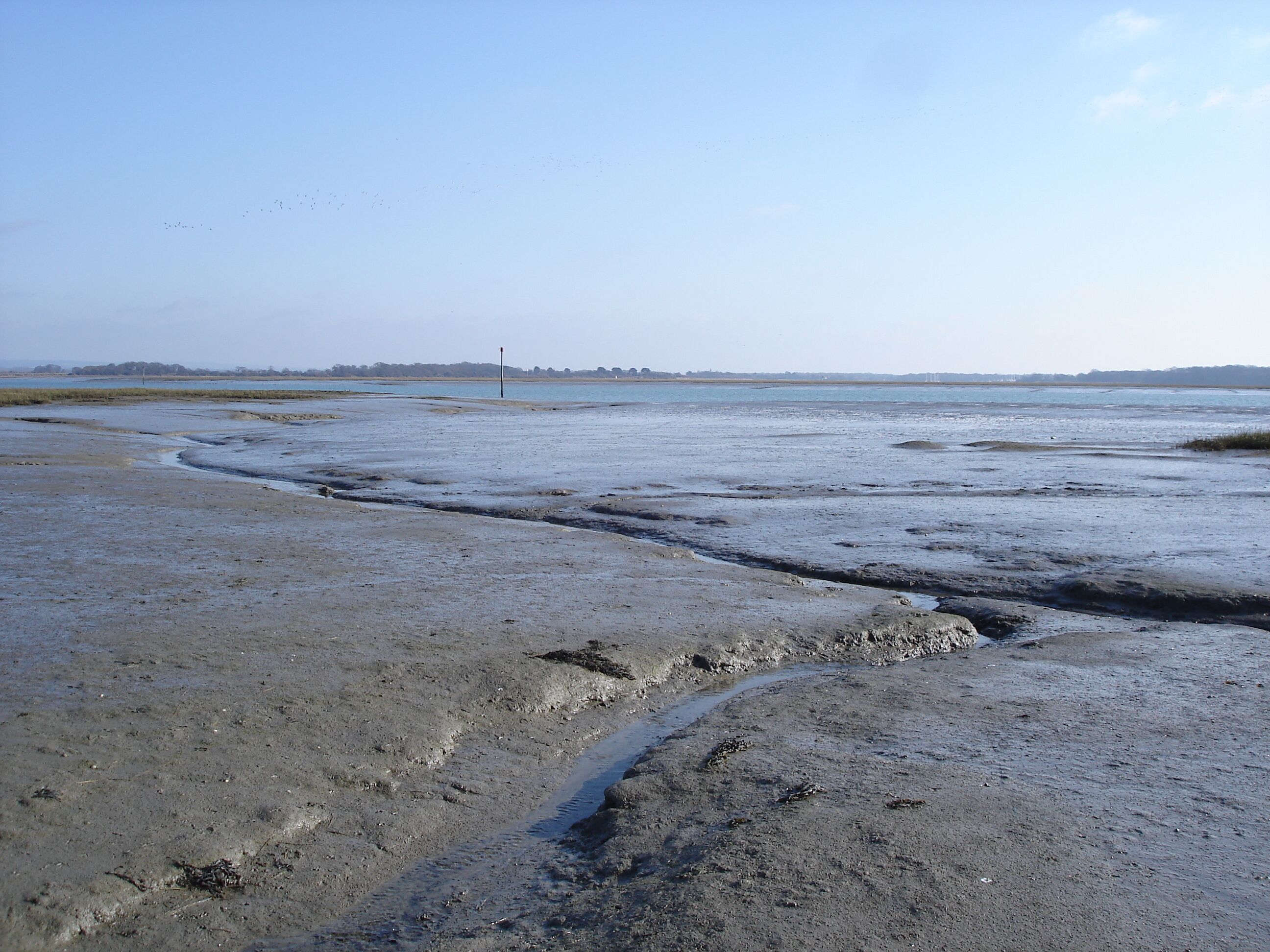 View eastwards from the western edge of this grid square Though only about 100 m from the coastal path, it was quite difficult to get to this point. I had to jump from one raised area of salt marsh to the next. The mud in the wider channels was alarmingly soft!