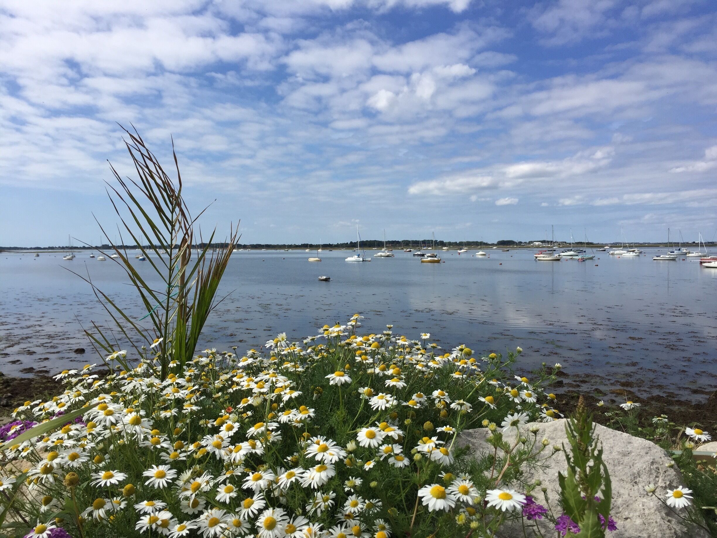 Beautiful views in Emsworth, Hampshire #seaviews #coast 