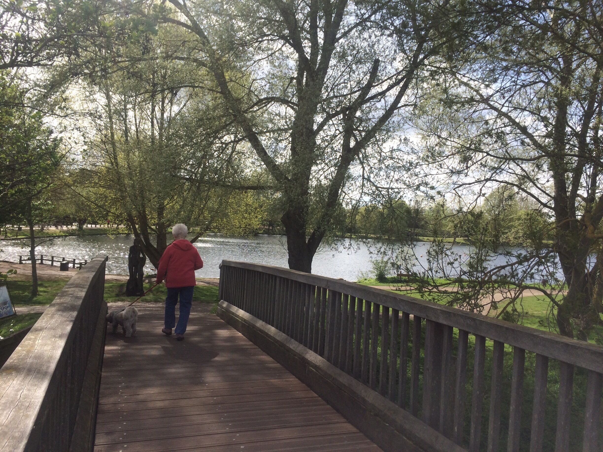 A wooden boardwalk with a person in a red jacket and a dog.