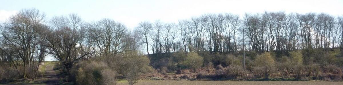Track to Titley Hill The view south from the B1078 between Needham Market and Barking.