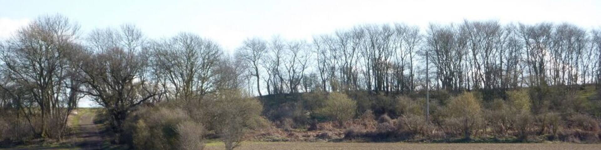 Track to Titley Hill The view south from the B1078 between Needham Market and Barking.