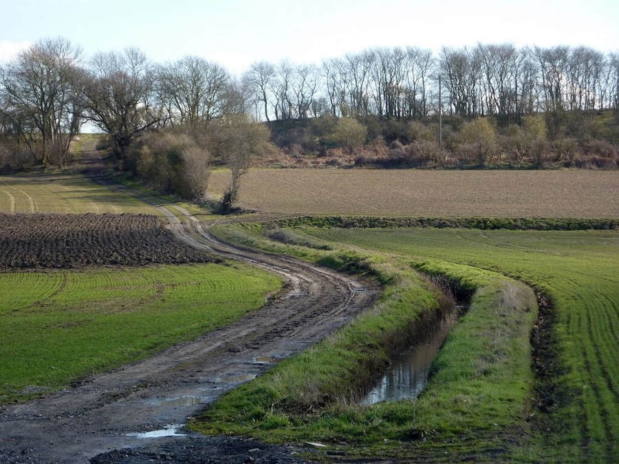 Track to Titley Hill The view south from the B1078 between Needham Market and Barking.
