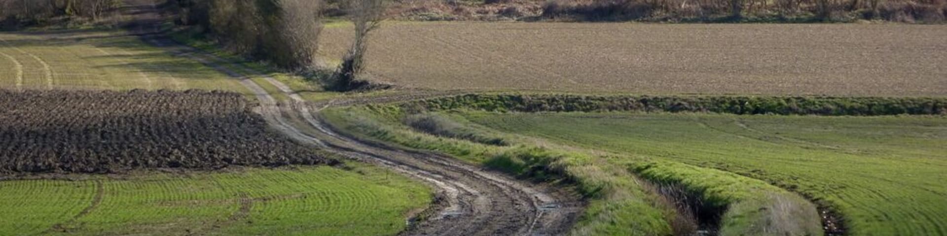 Track to Titley Hill The view south from the B1078 between Needham Market and Barking.