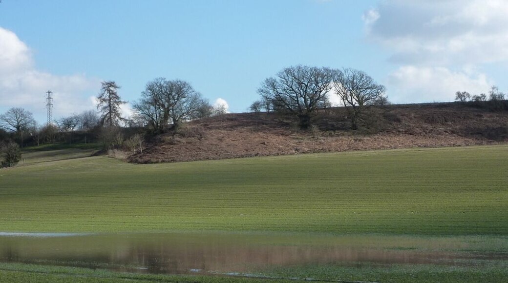 Flooded field below Oak Hill Seen from the road between Needham Market and Barking.
