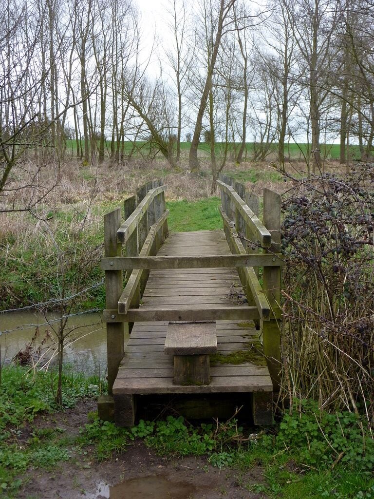 A wooden footbridge over a river, surrounded by trees and greenery.