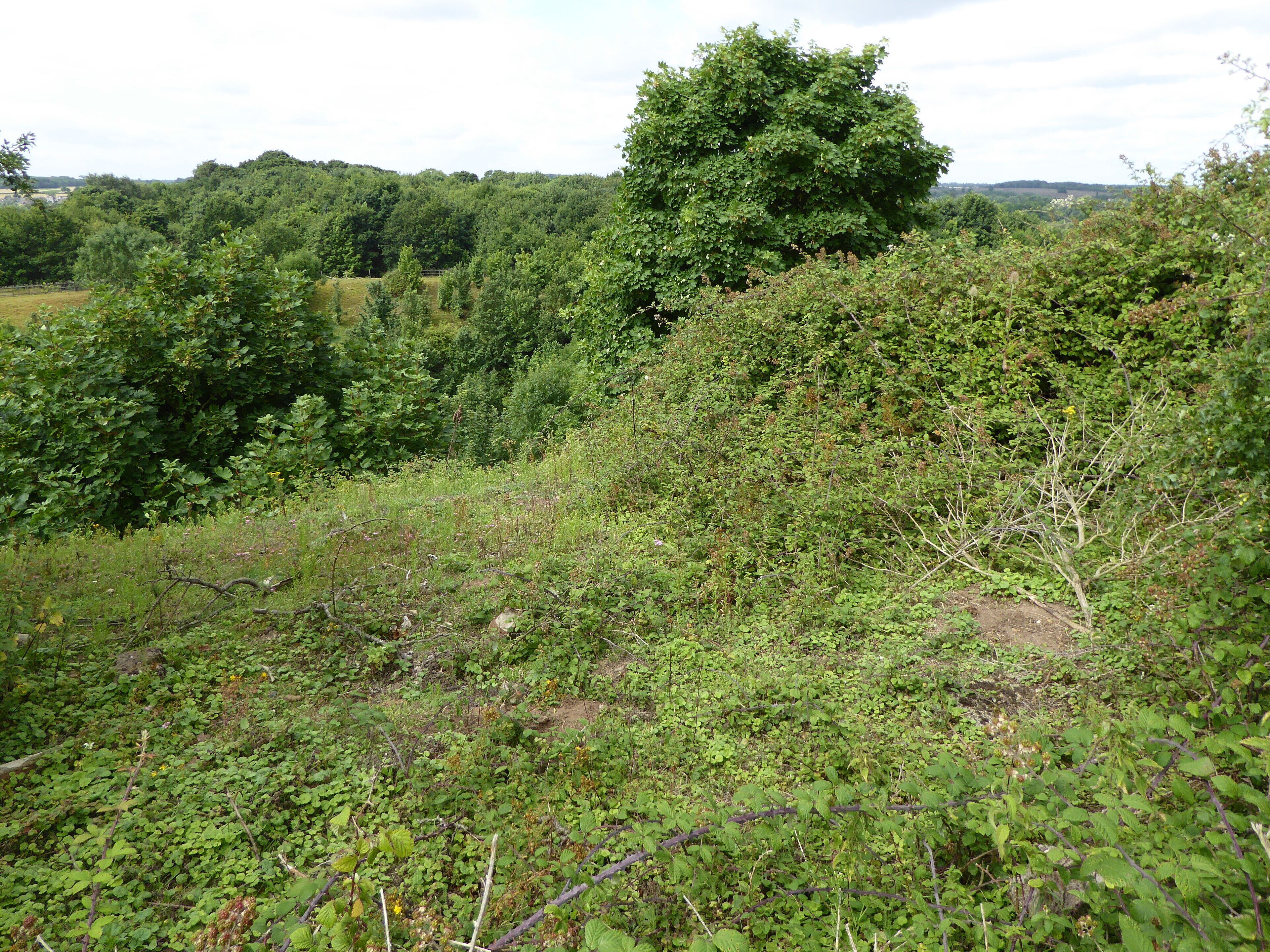 Creeting St Mary Pits is a geological Site of Special Scientific Interest east of Needham Market in Suffolk.