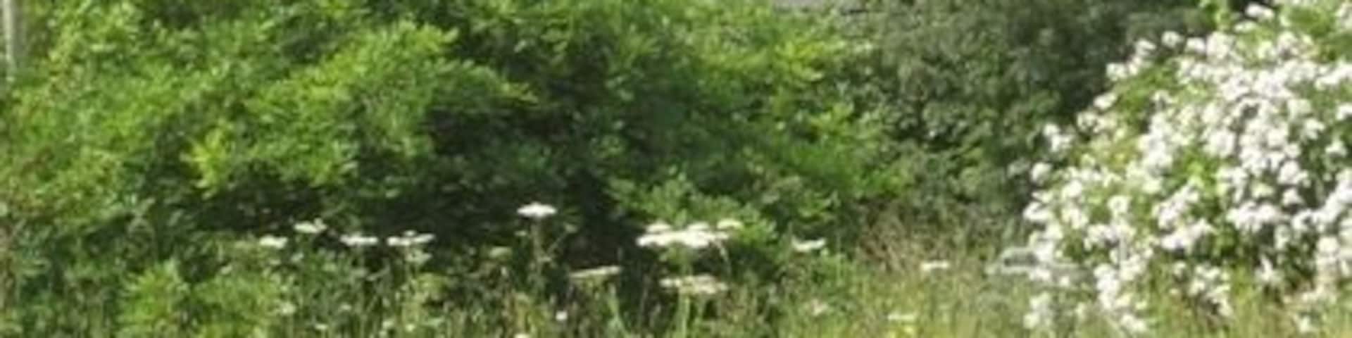 Arngask parish Kirk taken from Glenfarg green