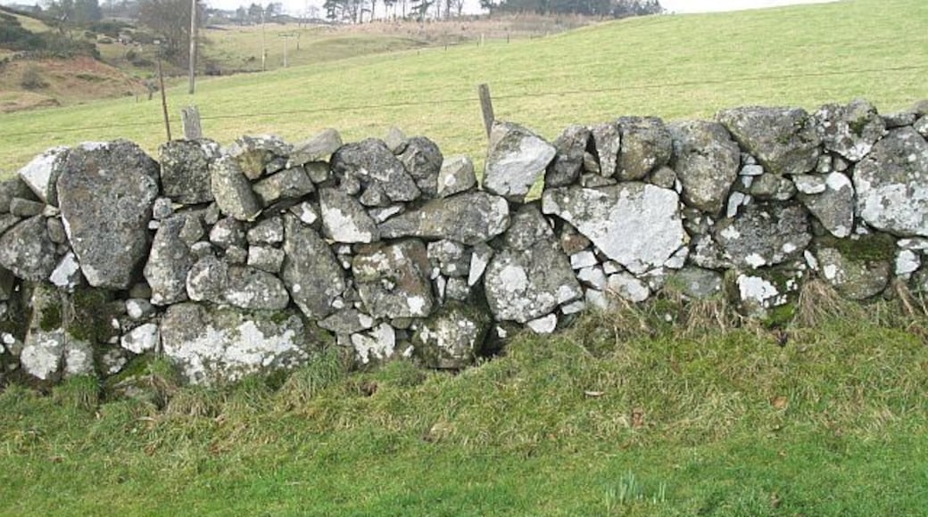 Dyke, Easterton Showing the igneous rock of the Ochils.