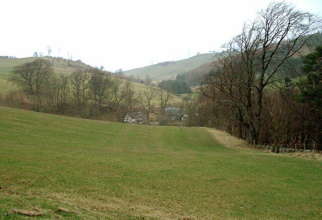 A grassy field with a stone wall and trees in the background.