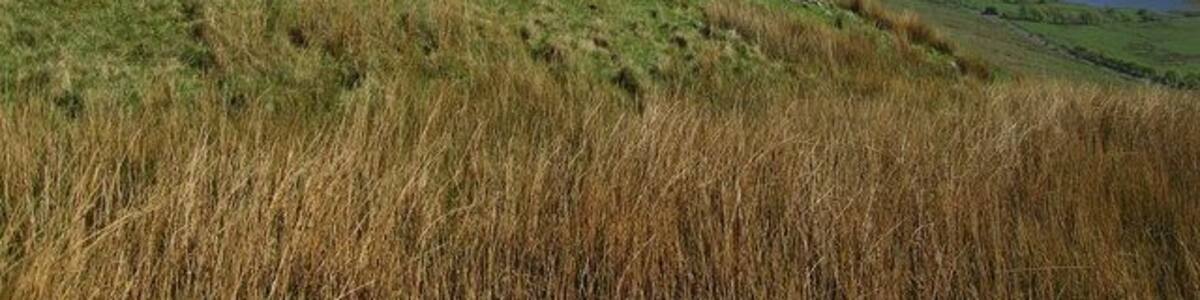 Cairn on Jock's Castle Camphill Reservoir below.