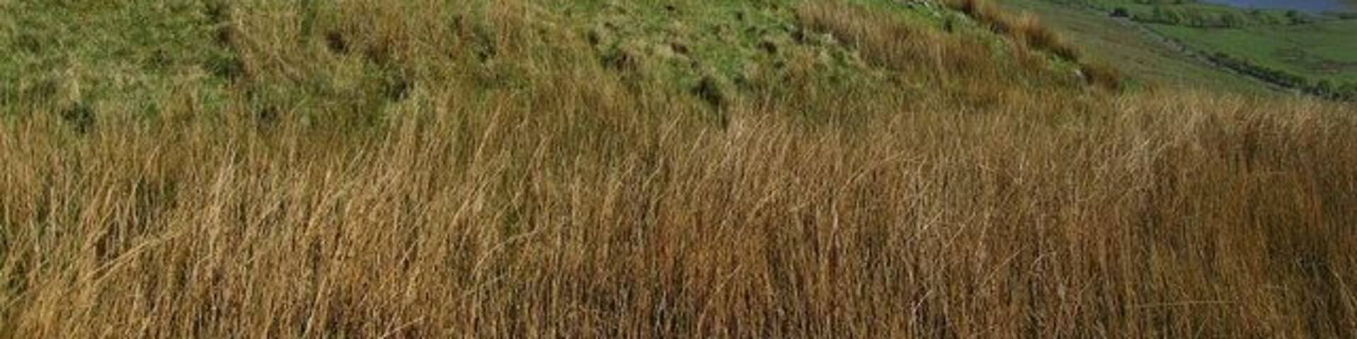 Cairn on Jock's Castle Camphill Reservoir below.