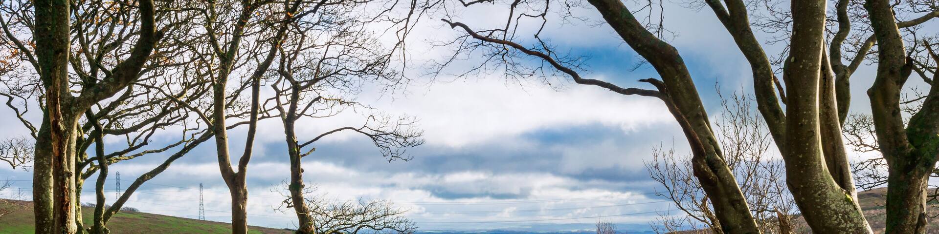 Cyclist and trees, Dalry, North Ayrshire, Scotland, UK