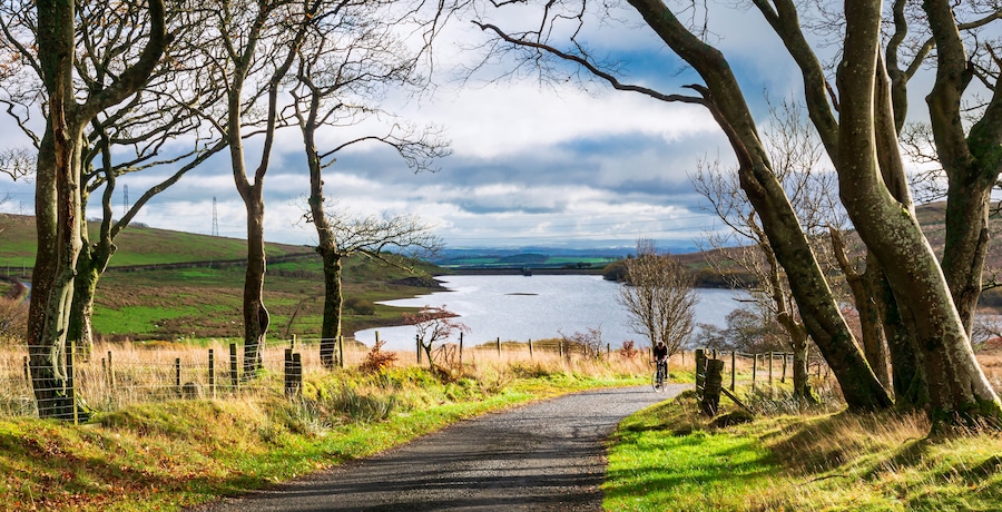 Un paysage rural avec un chemin de gravier, des arbres et un lac à l’horizon.