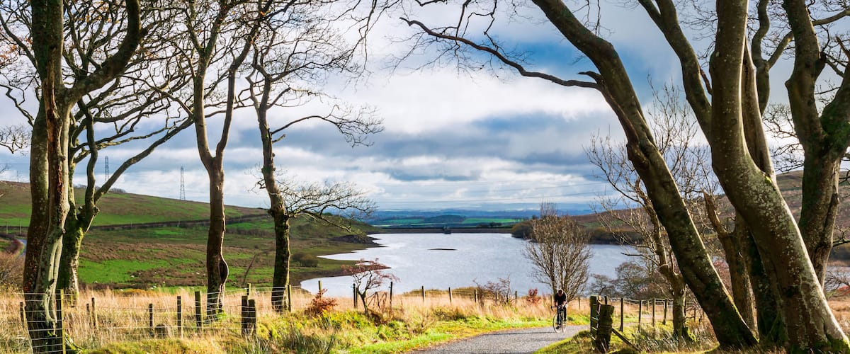 A rural landscape with a gravel path, trees, and a lake in the distance.