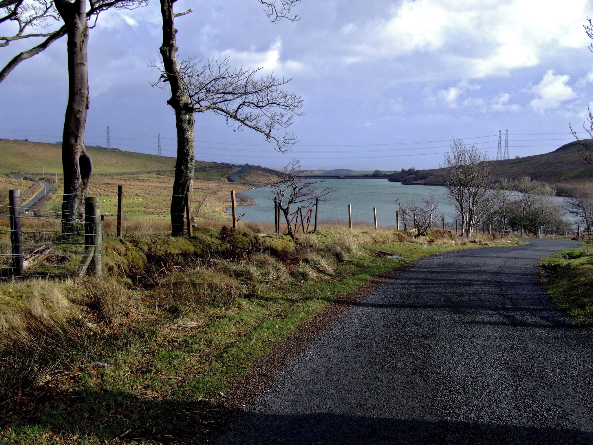 Fairlie Moor Road