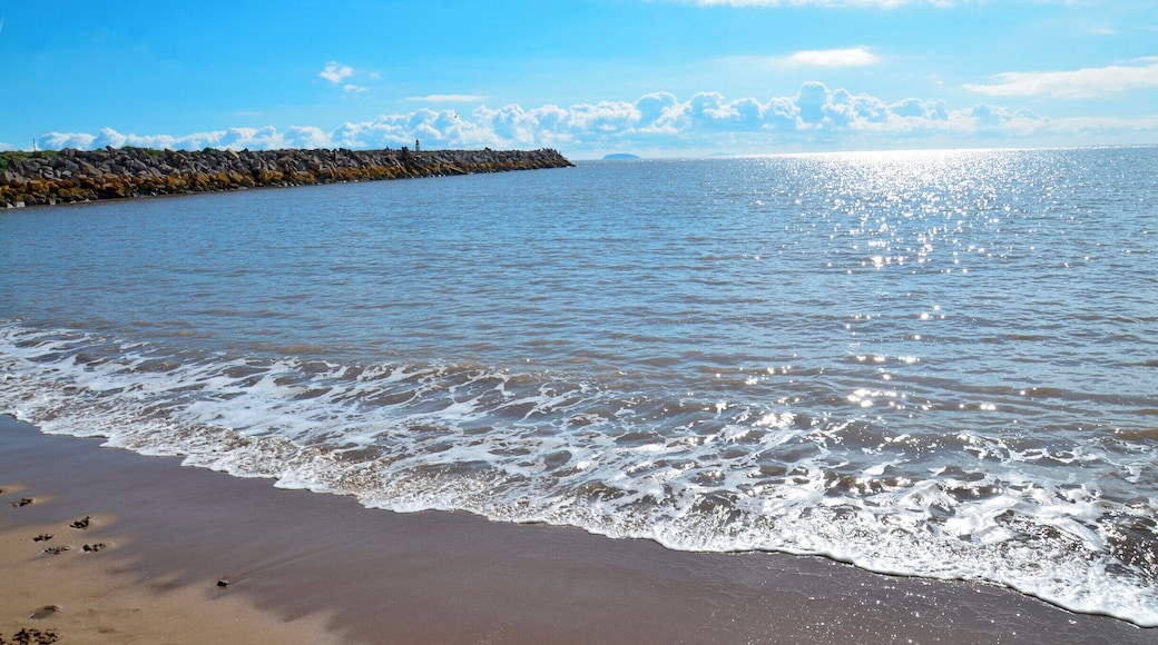Jackson Bay.
Barry, South Wales. UK