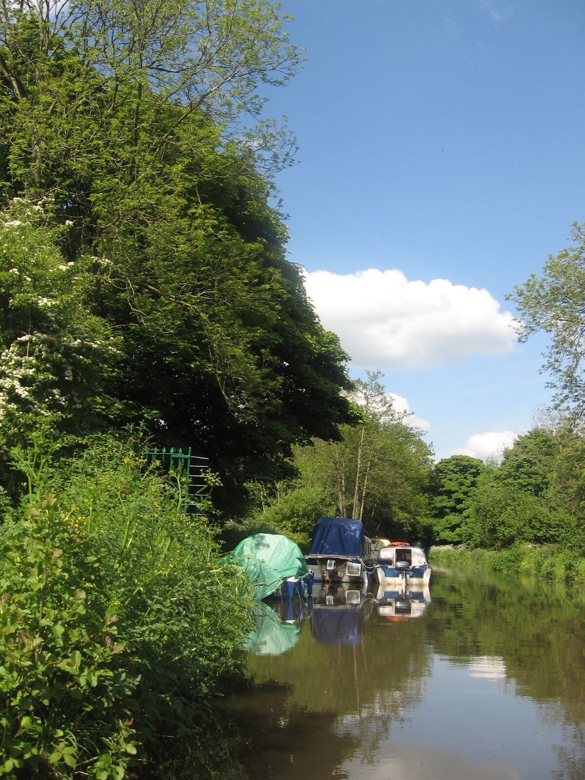 Cruising the Canal The Monmouthshire and Brecon Canal, seen from a trip boat on the day of a canal boat gathering. There are strong reflections on the sunny afternoon, and trees almost brush the side of the boat. Keywords: sky, clouds