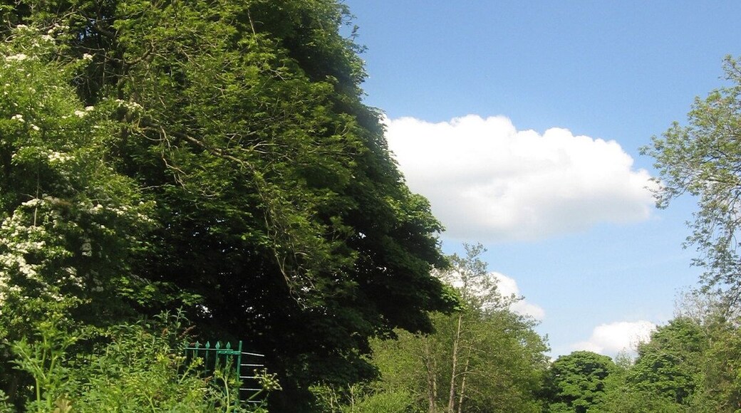 Cruising the Canal The Monmouthshire and Brecon Canal, seen from a trip boat on the day of a canal boat gathering. There are strong reflections on the sunny afternoon, and trees almost brush the side of the boat. Keywords: sky, clouds