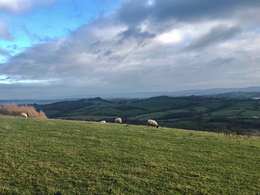 A sunny winter’s walk in Pontypool Park.