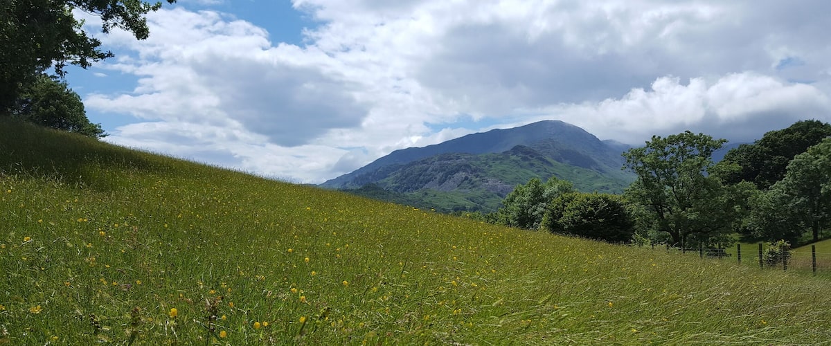 Looking across meadows above Little Langdale towards Wetherlam. #green