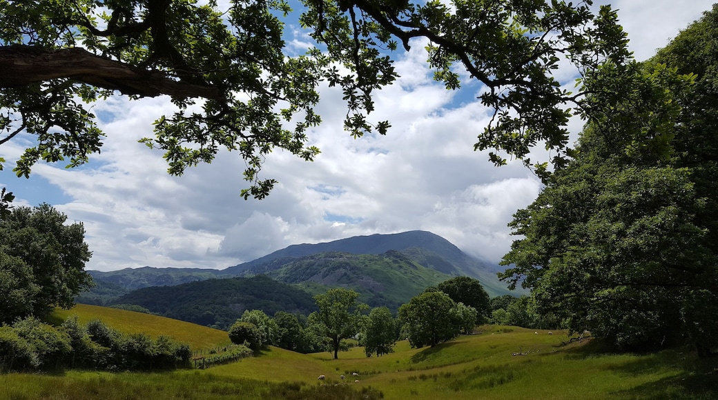 Wetherlam seen from a hop and a skip away from The Three Shires pub. #green
