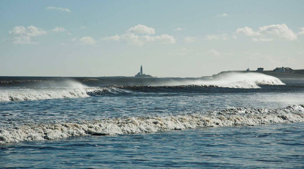 St Mary's lighthouse in the background