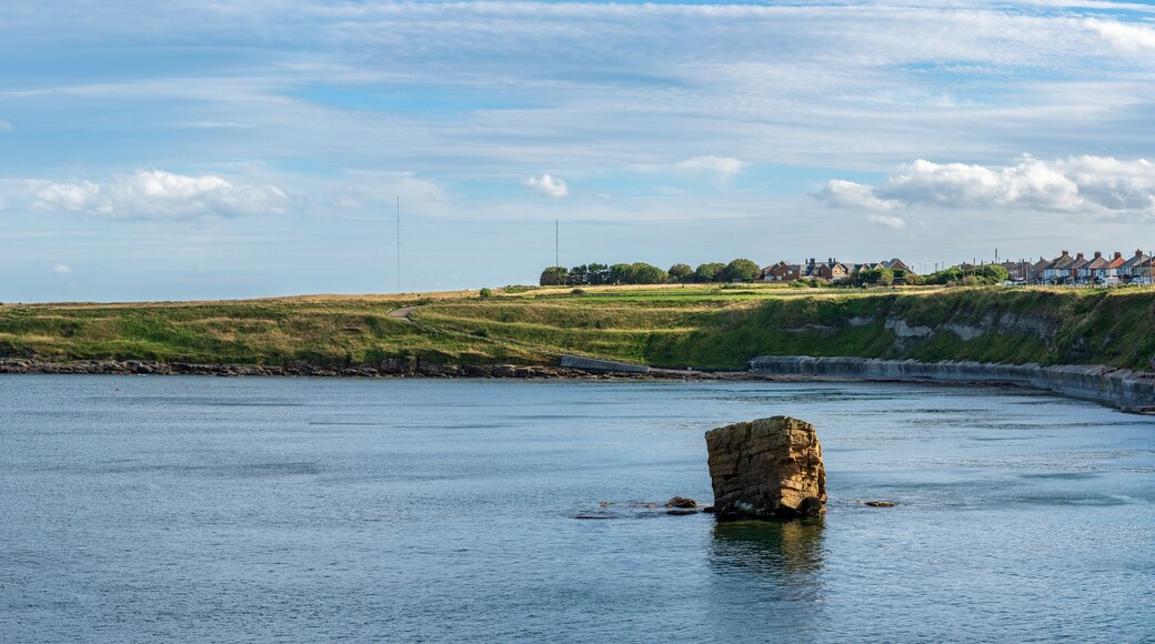 North Sea coast in Seaton Sluice, England, UK