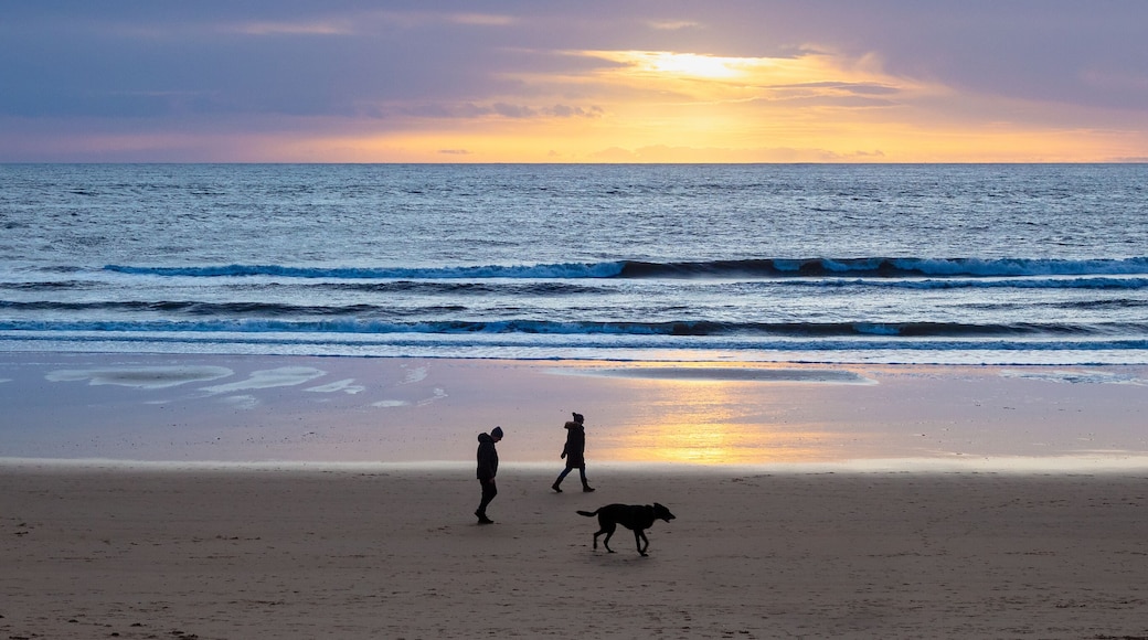 Couple with dog walking on sunlit beach at sunrise. Blyth, Northumberland, England, uk.