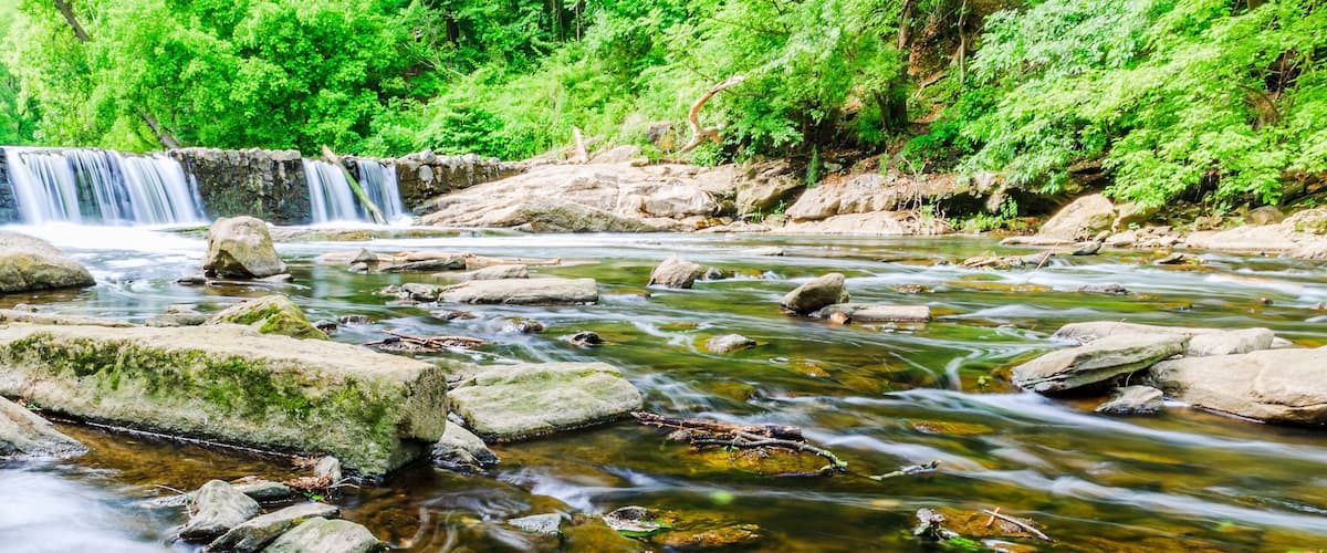 A waterfall cascading over rocks into a clear stream surrounded by lush greenery.