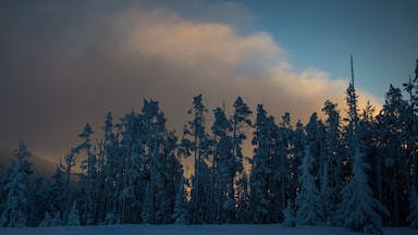 Snow on trees at sunset in the mountains