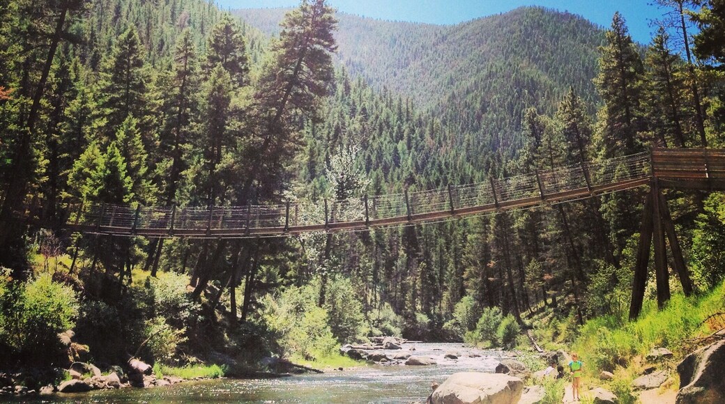Hanging bridge over Rock Creek in Clinton #montana #mountains #rockcreek