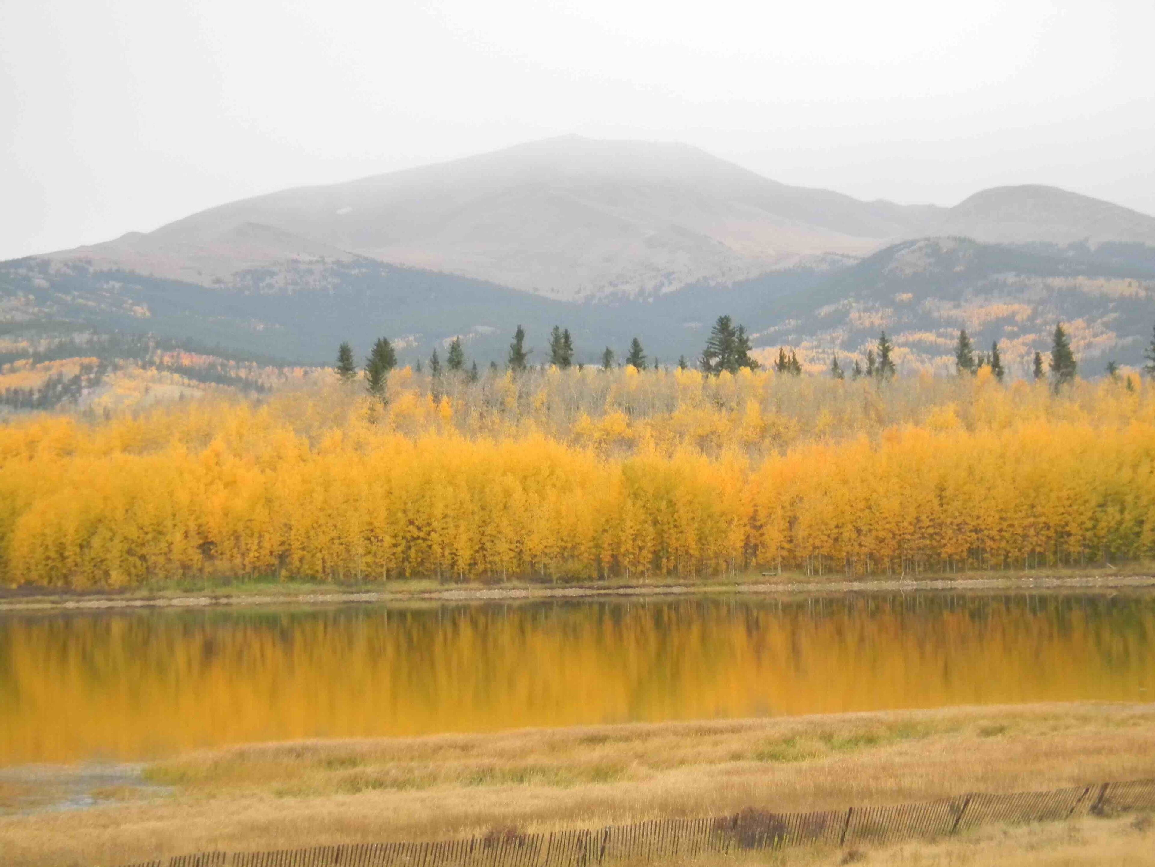 Just east of Fairplay, CO., while enjoying a scenic autumn drive through Colorful Colorado.