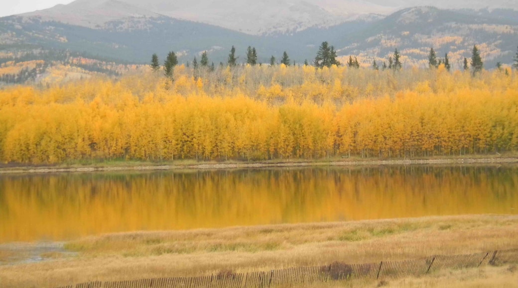 Just east of Fairplay, CO., while enjoying a scenic autumn drive through Colorful Colorado.