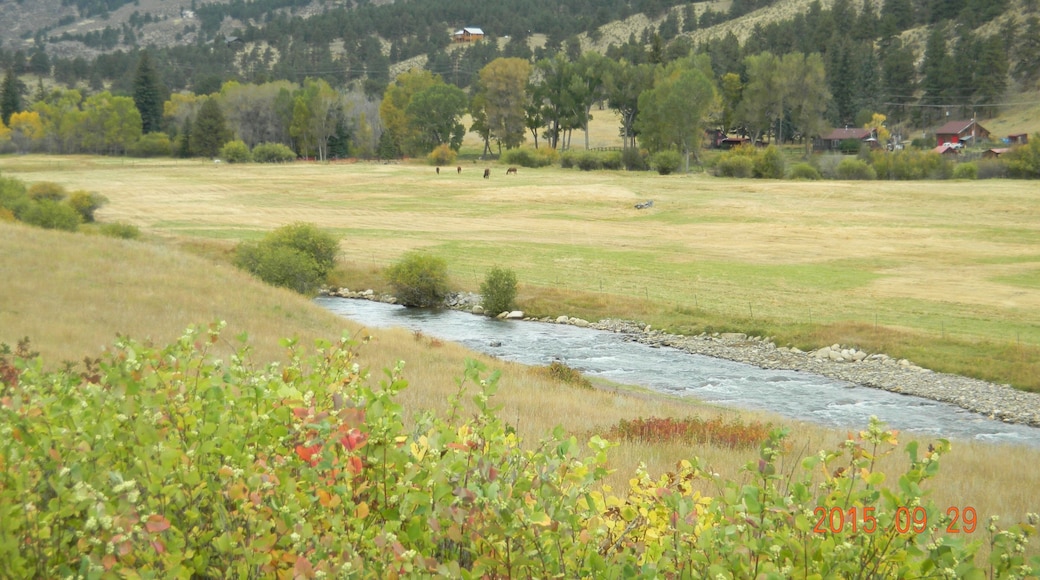 #OnTheRoad toward #Fairplay this beautiful scene caught my eye...