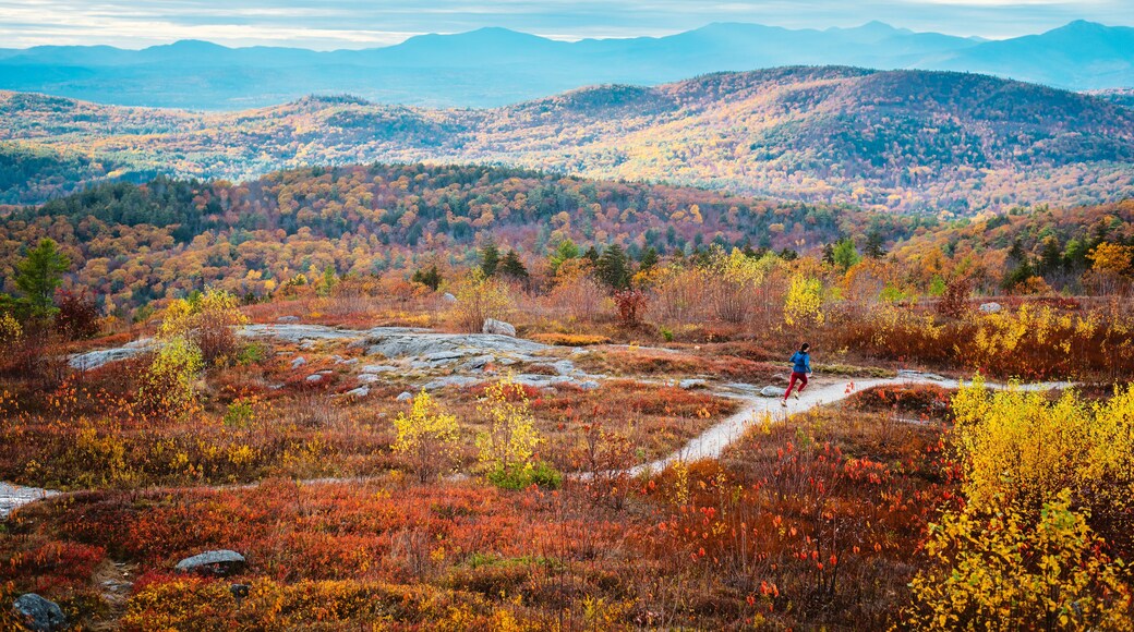Woman trail running in mountains with foliage in autumn
