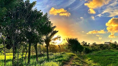 Flat tire in the Dominican Republic. At least we had a beautiful view of sunset.