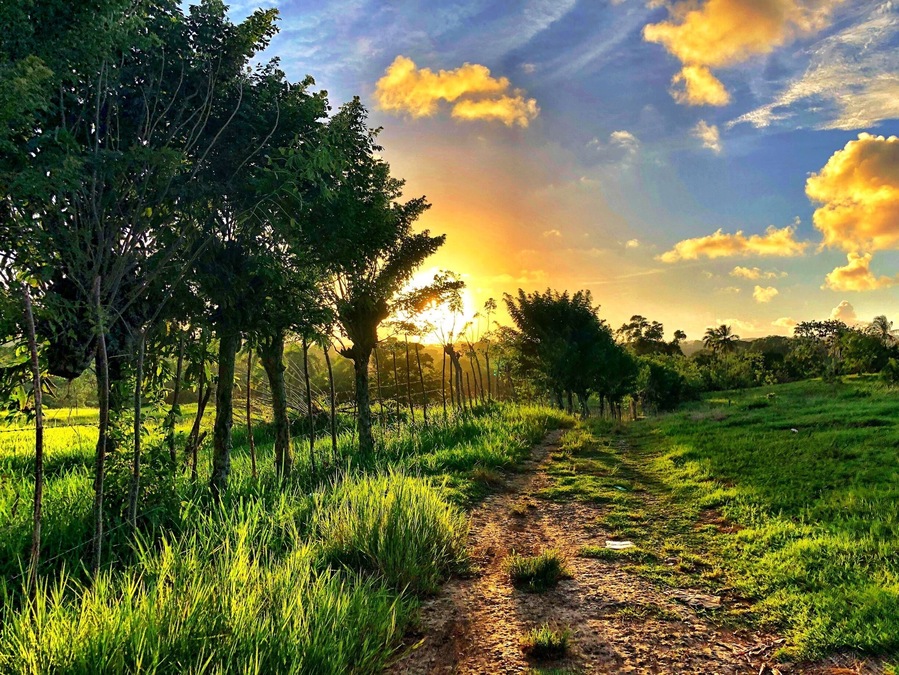 Flat tire in the Dominican Republic. At least we had a beautiful view of sunset.