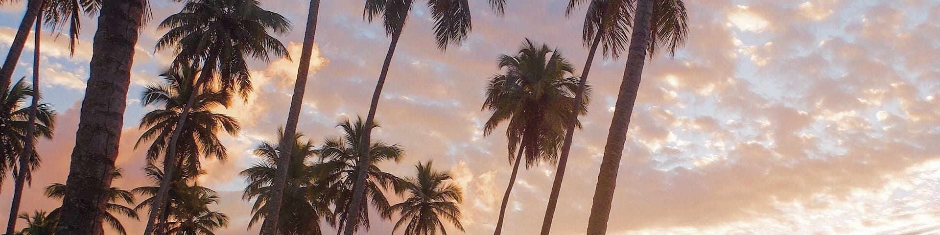 #Takeahike with me along La Entrada in the Dominican Republic. You'll find a beautiful beach lined with palms.