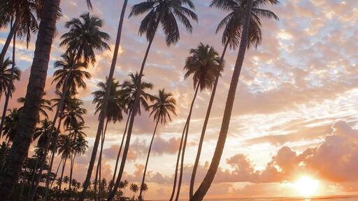 #Takeahike with me along La Entrada in the Dominican Republic. You'll find a beautiful beach lined with palms.