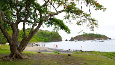 Uma praia com uma árvore grande, pessoas nadando e barcos na água.