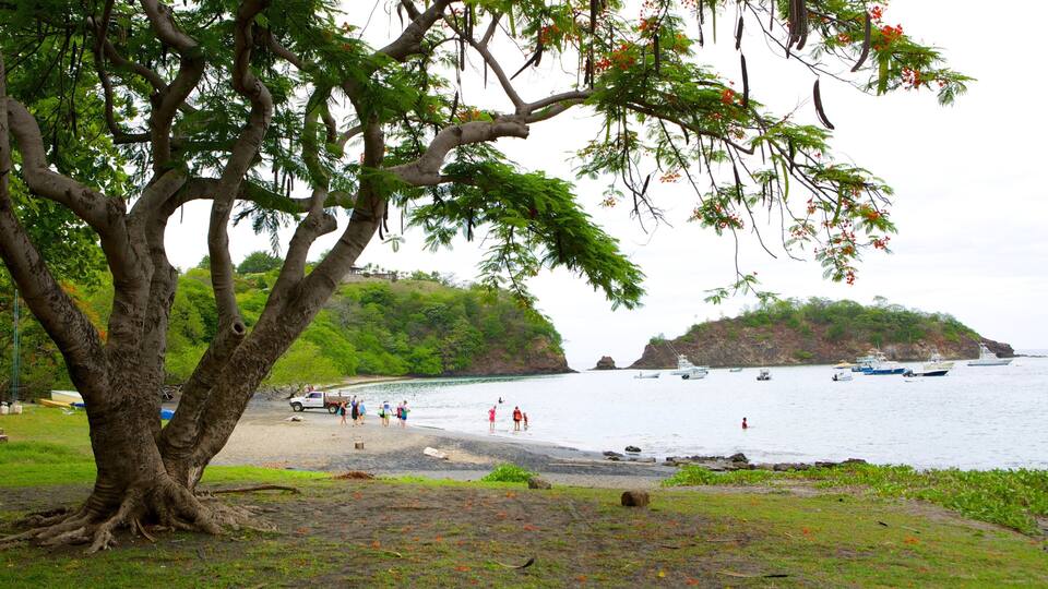 A beach with a large tree, people swimming, and boats in the water.